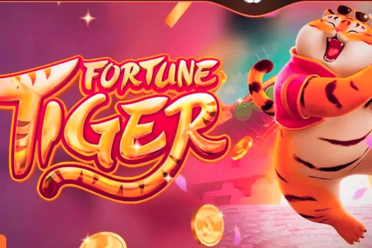 Responsible live casino play on db333 with adults only reminder